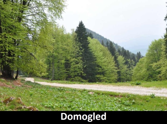 Parcul-Domogled-Valea-Cernei 1